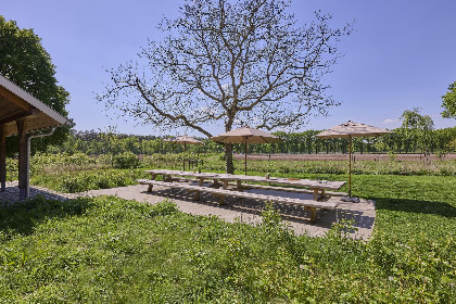 010 Villa Lactea