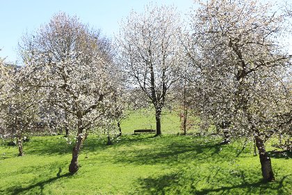 031 La Tour de la Chapelle 031 La Tour de la Chapelle