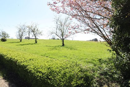 033 La Tour de la Chapelle 033 La Tour de la Chapelle