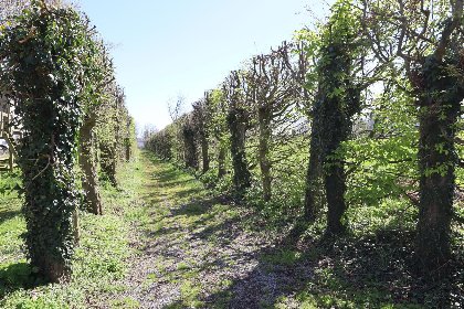 036 La Tour de la Chapelle 036 La Tour de la Chapelle