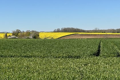 038 La Tour de la Chapelle 038 La Tour de la Chapelle