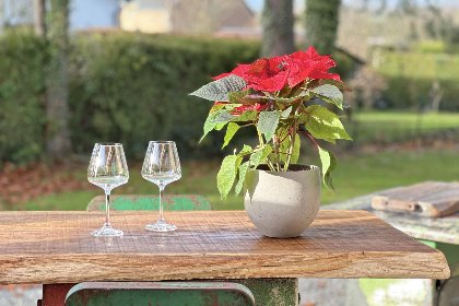 006 Chez Brigitte 006 Chez Brigitte