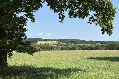 038 Langlire