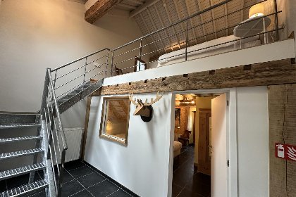 038 Ry de Belle Rose