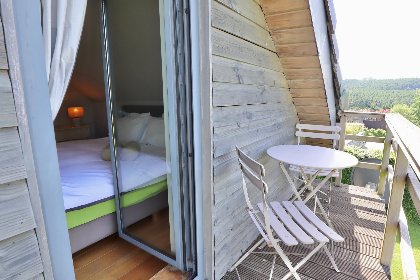 019 Cocoon