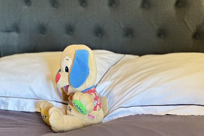 026 Petit Wilogne 026 Petit Wilogne