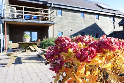 035 Petit Wilogne 035 Petit Wilogne