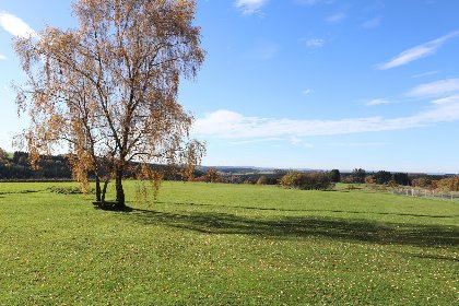 041 Petit Wilogne 041 Petit Wilogne