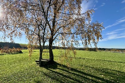 047 Petit Wilogne 047 Petit Wilogne