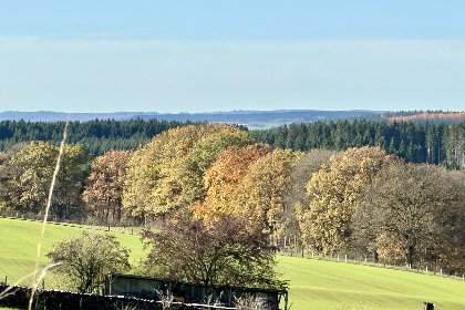 048 Petit Wilogne 048 Petit Wilogne