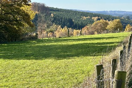 050 Petit Wilogne 050 Petit Wilogne