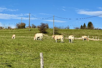 051 Petit Wilogne 051 Petit Wilogne