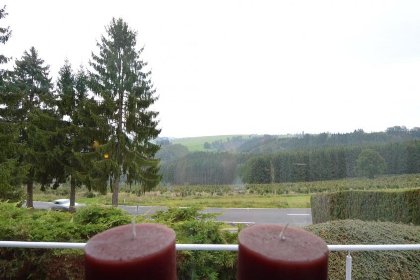 022 Pure Filly Relax Retreat