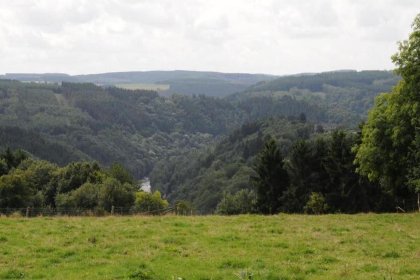 025 Pure Filly Relax Retreat
