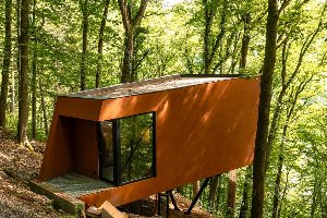Cabane dans les arbres