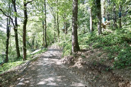 024 Cabane dans les arbres