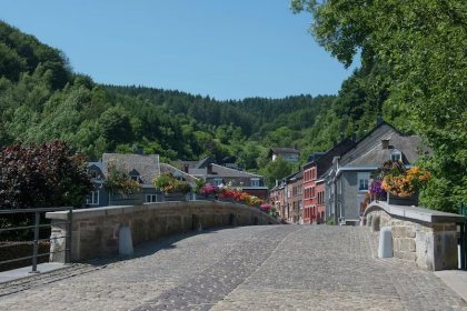 030 Le Chemin des Framboises