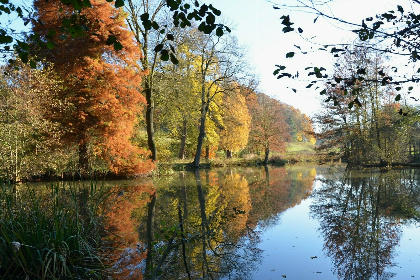 011 Chateau Cortils   Orangerie