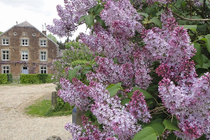 Het Poorthuis in Blegny