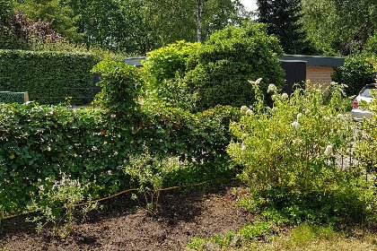 023 Bungalow Sonnerust