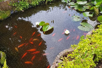 024 Bungalow Sonnerust