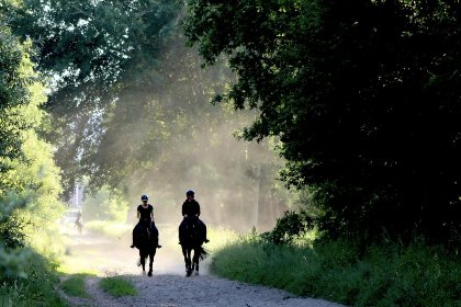 030 Bungalow Sonnerust