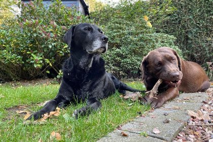 032 Bungalow Sonnerust