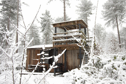 001 Tiny house voor 5 personen met terras op 3,5 meter hoogte in bosrijke omgeving in Belgie