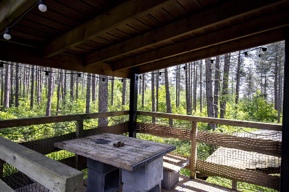 003 Tiny house voor 5 personen met terras op 3,5 meter hoogte in bosrijke omgeving in Belgie