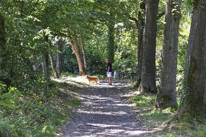 040 Hoeve Sonnevijver