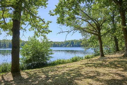 046 Zwaan 7