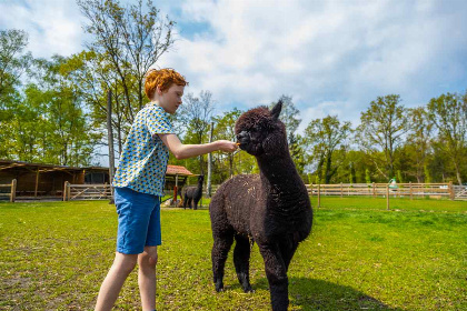 026 In Belgisch Limburg op vakantie in een sfeervol 4 persoons huisje!