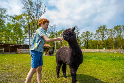 028 In Belgisch Limburg op vakantie in een sfeervol 4 persoons huisje!