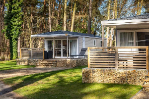 Knus 4 persoons cottage in de mooie Belgische natuur