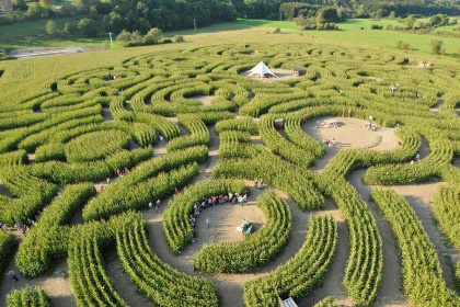 060 Prachtig vakantiehuis in Durbuy met schitterend uitzicht op de bossen