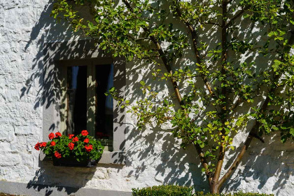 065 Prachtig vakantiehuis in Durbuy met schitterend uitzicht op de bossen