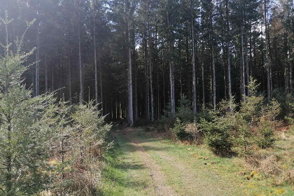 034 Luxe 11 persoons vakantiehuis in de Ardennen   met zwembad, hottub en sauna