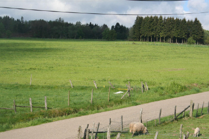 007 30 persoons vakantiehuis in Vielsalm, Belgische Ardennen