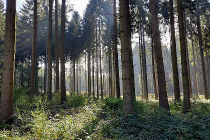 011 Mooie authentieke 8 persoonsvakantiewoning met sauna en hottub in de Belgische Ardennen