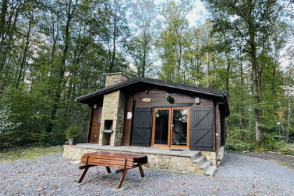 010 Chalet voor 4 personen op vakantiepark Village de Vacances Oignies