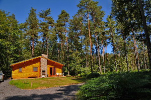 Compact chalet voor 8 personen midden in de bossen in de Ardennen