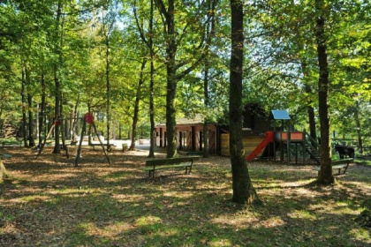 018 Compact chalet voor 8 personen midden in de bossen in de Ardennen