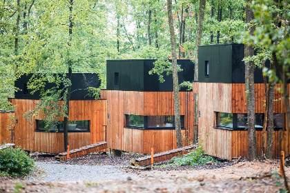 010 Prachtige Lodge voor 6 personen middenin de Ardennen