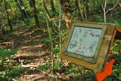 017 Prachtige Lodge voor 6 personen middenin de Ardennen