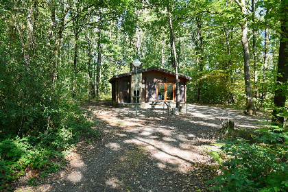 010 Vrijstaand chalet voor 4 volwassenen en 2 kinderen op Village de Vacances Oignies