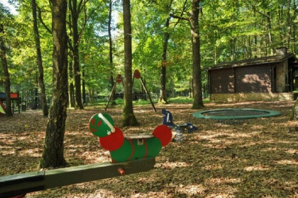 015 Vrijstaand chalet voor 5 personen midden in de bossen in de Ardennen