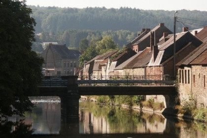 031 Vrijstaand chalet voor 5 personen midden in de bossen in de Ardennen