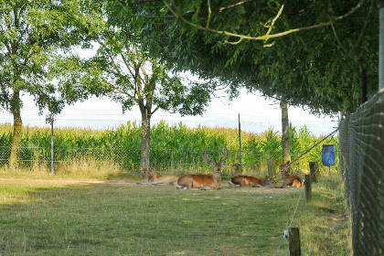 010 Vakantiehuis voor 8 personen in Somme Leuze met speelkamer, speeltuin en kinderboerderij