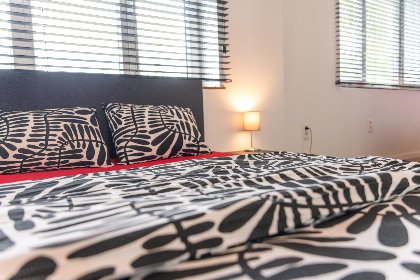 036 Landhuis Brakelbos