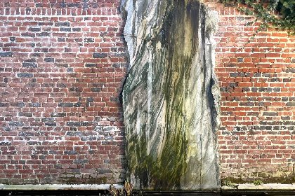 038 La Maison Bleue Ronse